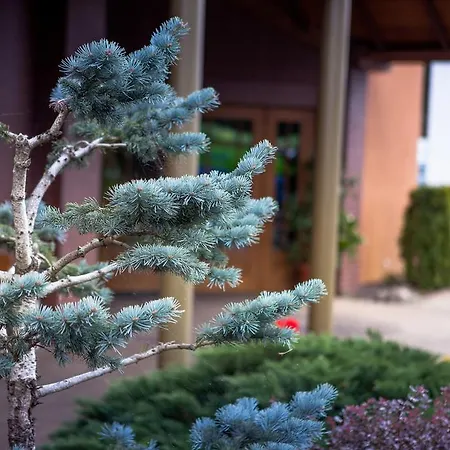 Eden Bis 3* Рыдзына